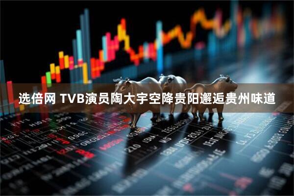 选倍网 TVB演员陶大宇空降贵阳邂逅贵州味道