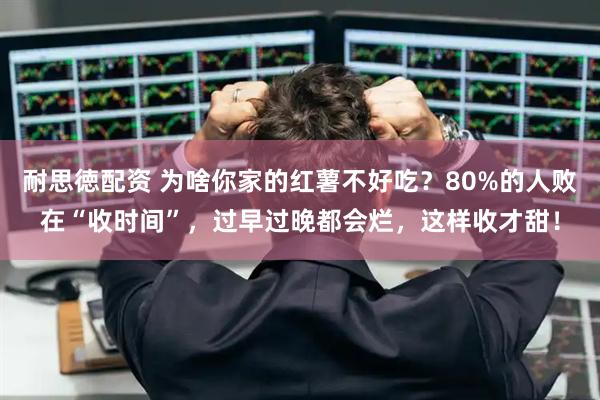 耐思徳配资 为啥你家的红薯不好吃？80%的人败在“收时间”，过早过晚都会烂，这样收才甜！