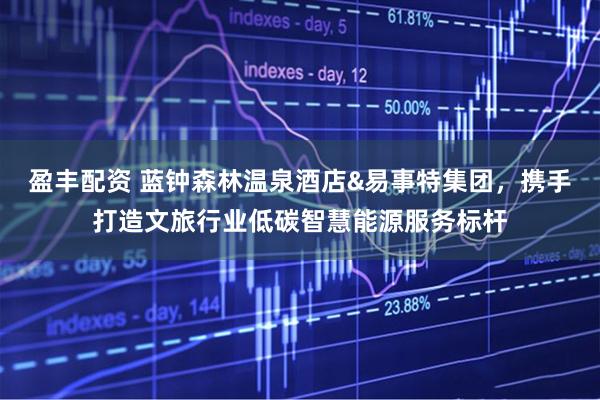 盈丰配资 蓝钟森林温泉酒店&易事特集团,携手打造文旅行业低碳智慧能源服务标杆